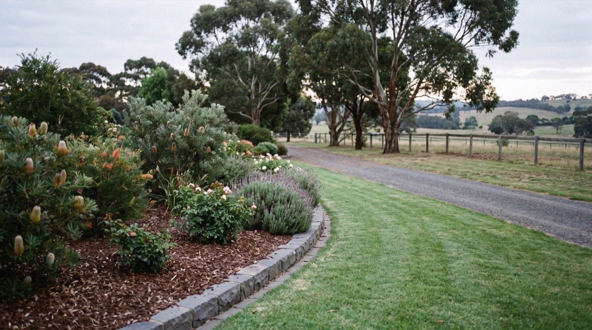 A cut lawn beside a gravel drive with gum trees and a fenced paddock behind