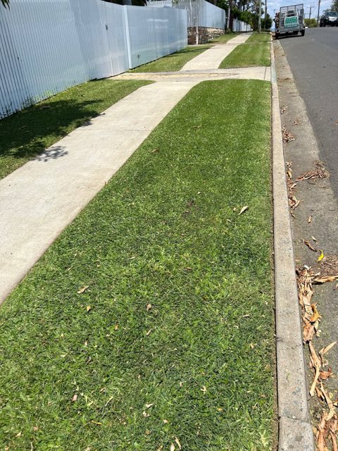 Cut grass meeting a concrete driveway in a straight line on both sides
