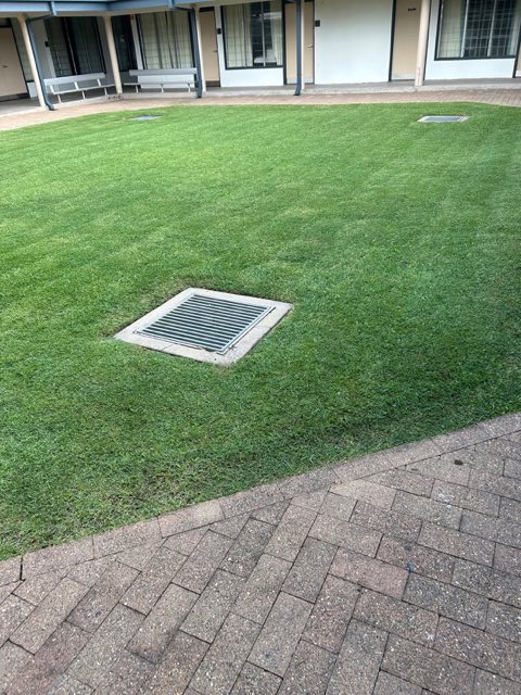 A mown lawn with a drainage grate in front of a unit block