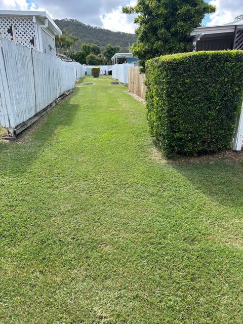 A trimmed hedge running along a white fence beside cut grass