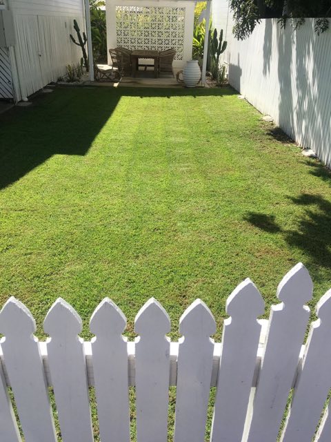 A small courtyard lawn cut behind a white picket fence