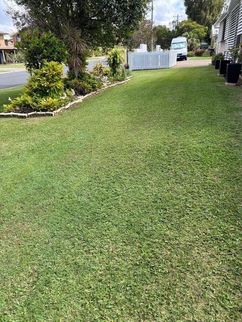 A cut front lawn with garden beds and a white fence beyond