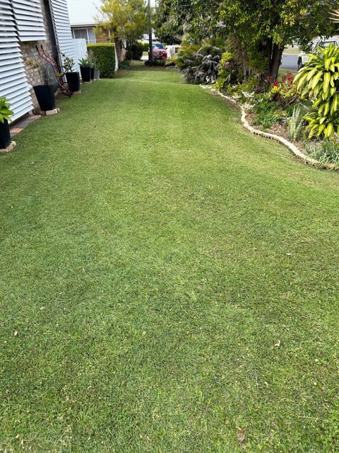 A cut lawn running between garden beds toward a driveway