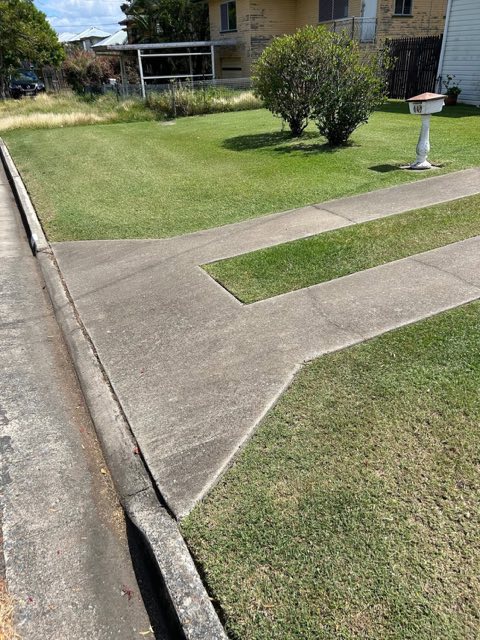 A front lawn with a shaped tree and a path cutting through it