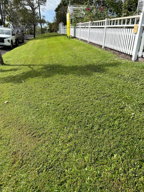 A cut lawn along a white picket fence with hedges behind