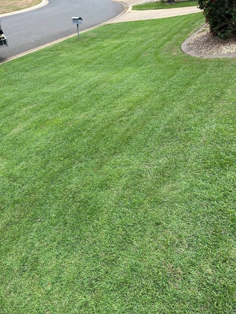 A wide lawn with fresh mowing stripes running toward a garden bed