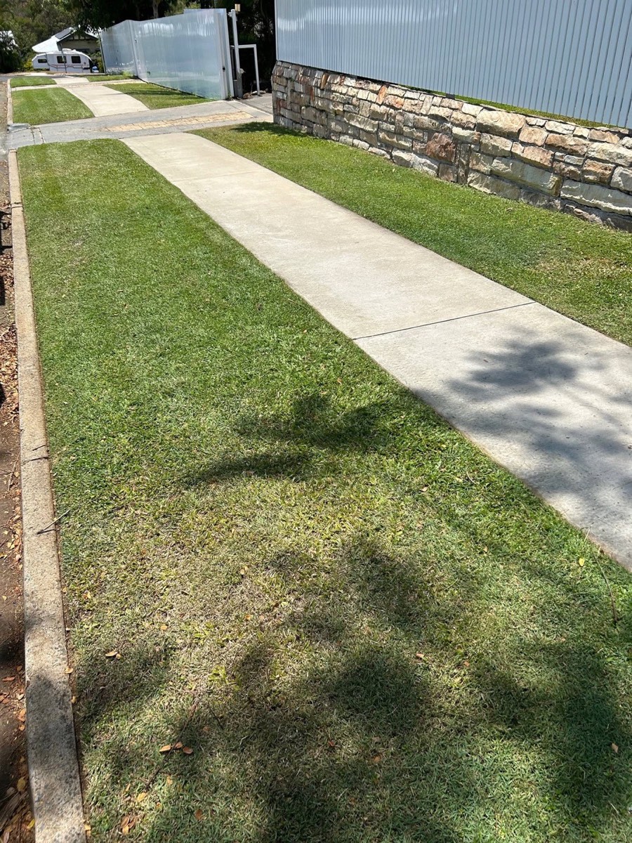 Cut grass meeting a concrete driveway in a straight line on both sides