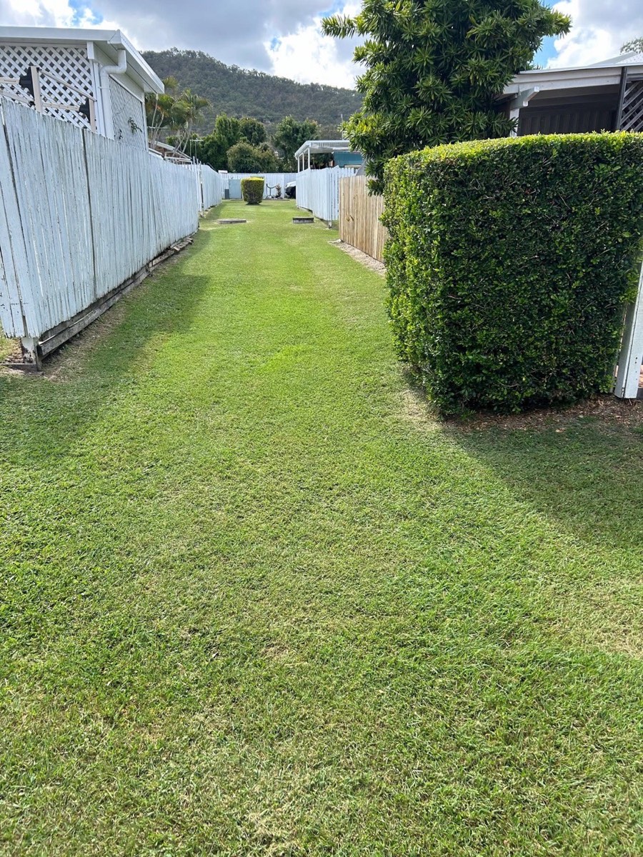 A trimmed hedge running along a white fence beside cut grass