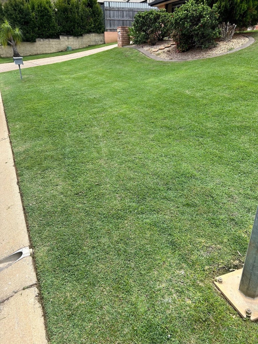 A cut front lawn running between a clipped hedge and a garden bed